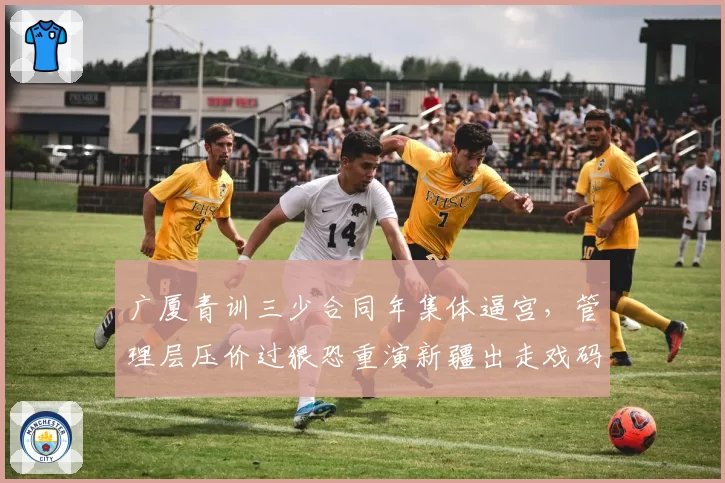 广厦青训三少合同年集体逼宫，管理层压价过狠恐重演新疆出走戏码